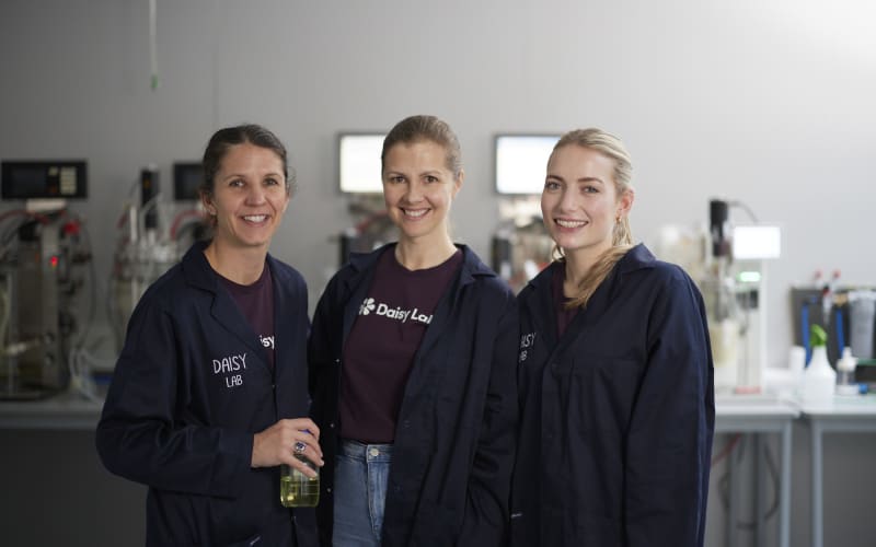 NZ biotech start-up Daisy Lab's expansion hopes after UK acquisition | RNZ