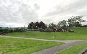 Aronia Park in South Auckland.