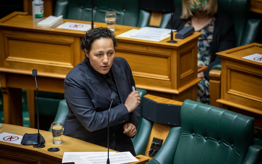 Labour MP Kiri Allan during the General Debate