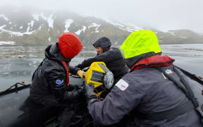 Three people wearing rainjackets with hoods up and lifejackets pull a yellow object over the side of a dinghy in still dark waters. Kelp is visible poking through the sea surface and snow-streaked mountains in the background are shrouded in a misty haze.
