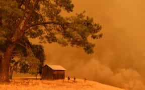 Firefighters watch as flames from the County Fire climb a hillside in Guinda, California, on July 1, 2018.