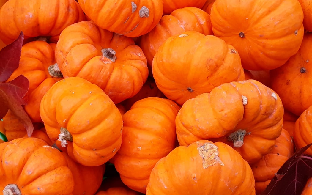 Autumn harvest