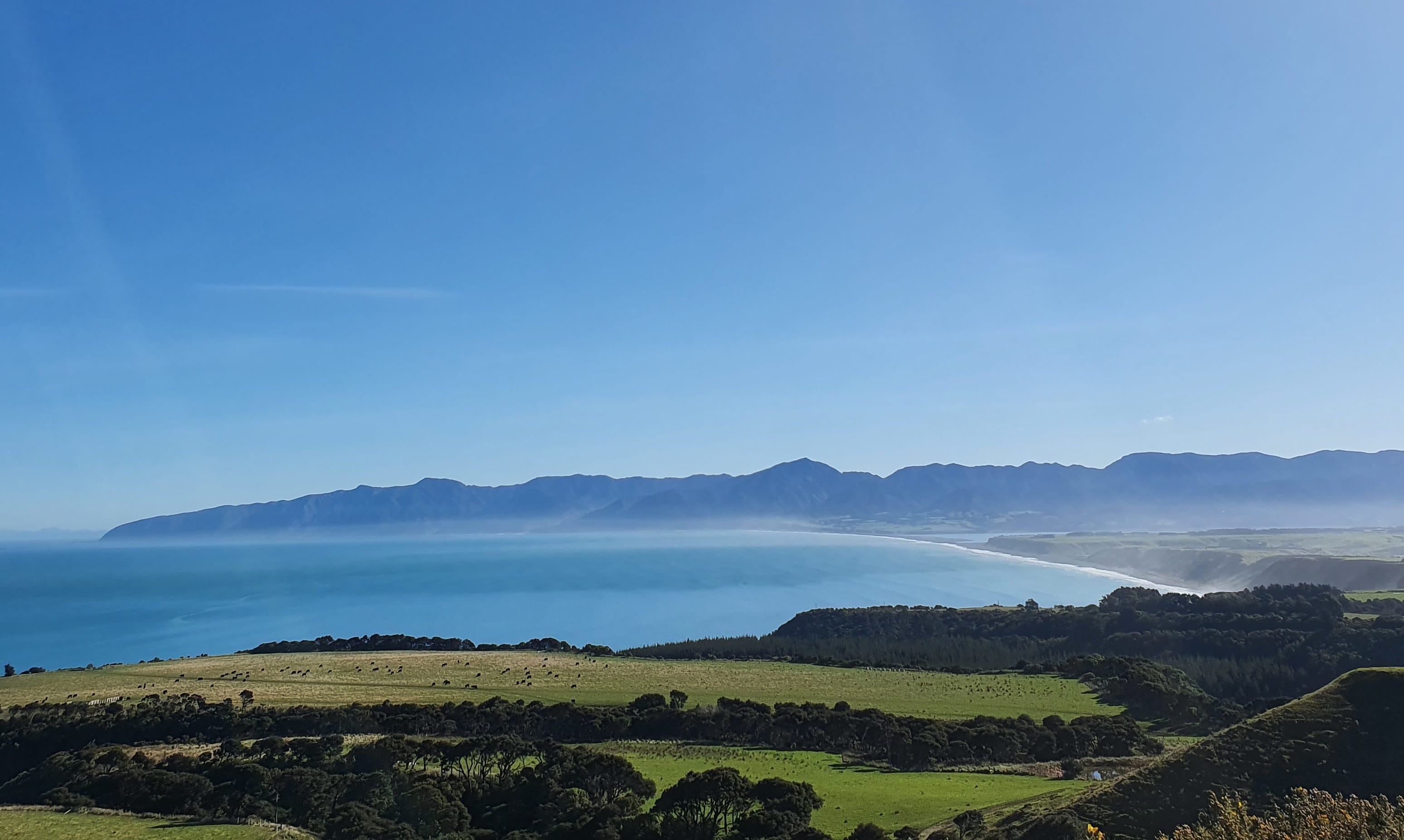 Farmland at Cape Palliser, South Wairarapa