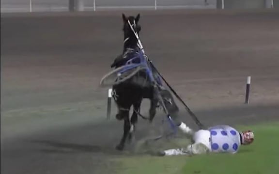 Pacer Buddy Guy drags driver Crystal Hackett, after being spooked at Auckland's Alexandra Park.