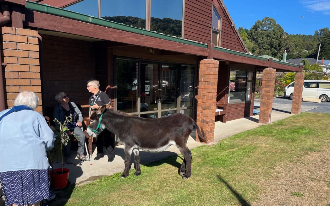 A Dunedin woman hopes to find a way to keep bringing a little donkey joy to residents of rest homes and dementia units in the wake of Hato Hone St John's decision to axe its animal therapy programme, Therapy Pets.