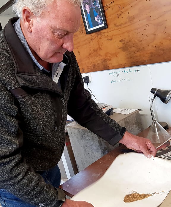 Allan Birchfield winnows the tiny gold flakes on a piece of paper to shake any dirt out; the flakes are smelted in a ceramic pot (crucible) in a small gas-fired furnace.