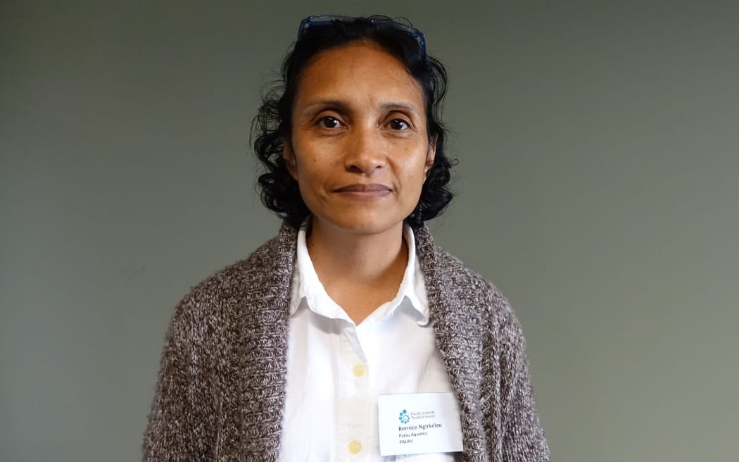 The Executive Director of Palau Aquatics, Bernice Ngirkelau