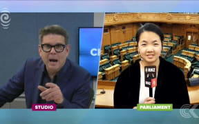 Winston Peters lashes out at media
