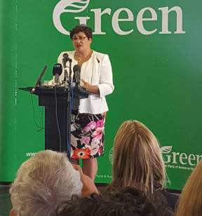 Metiria Turei