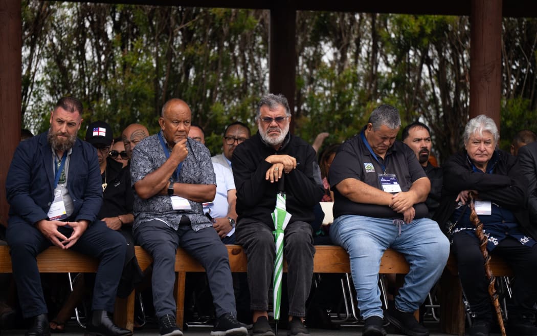 The National Iwi Chairs Forum, representing more than 70 iwi, are meeting at Waitangi this week to set priorities for the year ahead.