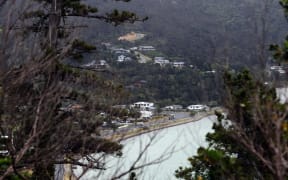 Looking through trees out to Ōkiwi Bay, a small settlement in the Marlborough Sounds, on the way to French Pass.