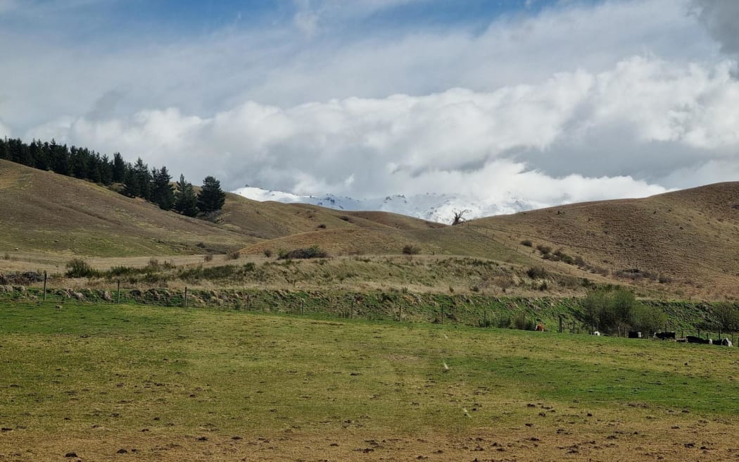 Generic Central Otago hills near Omakau.