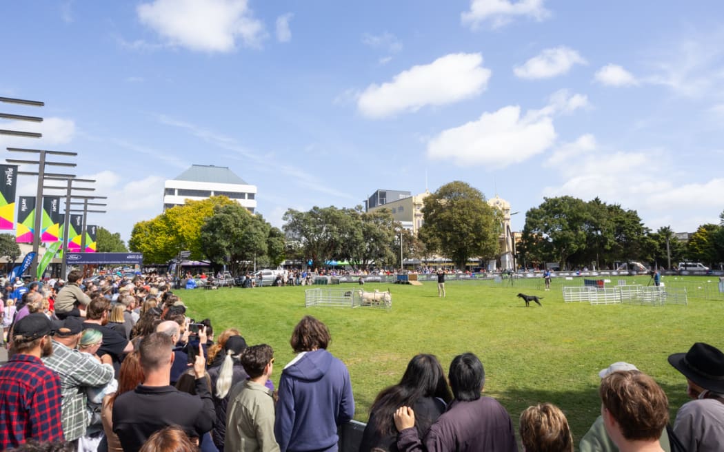 Crowds pack the square in Palmerston North to watch the sheep dog trials at the New Zealand Rural Games in Palmerston North, 2024.