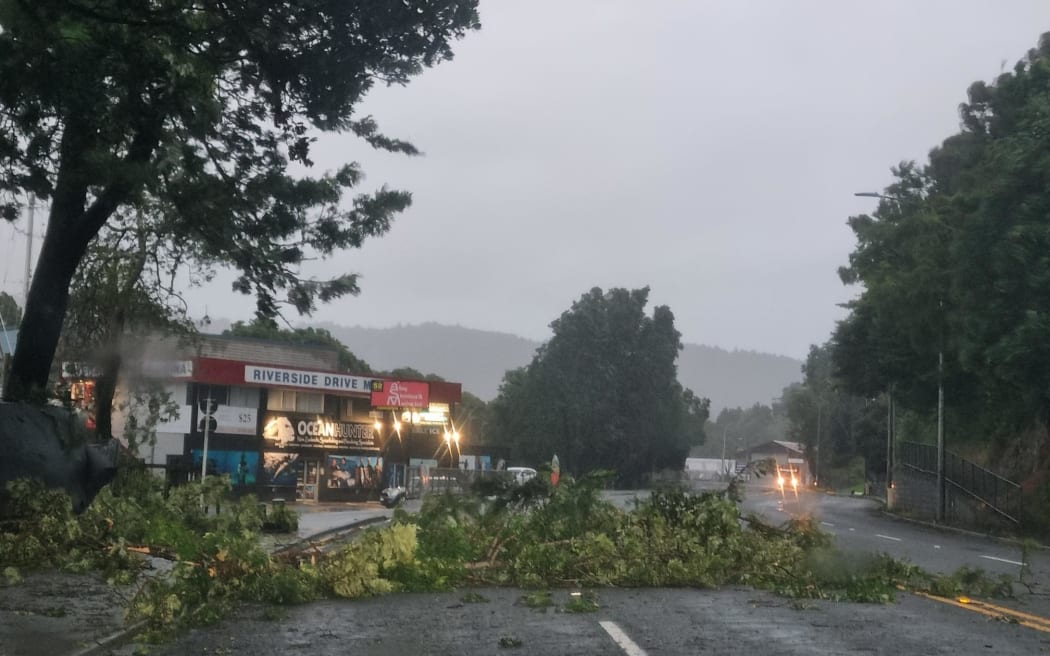 Severe winds felled trees on Riverside Drive, Whangārei, as Cyclone Gabrielle whipped through on Monday night.