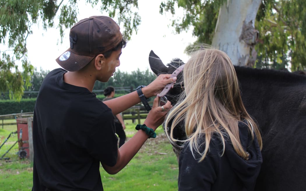 A student on the Birchleigh Polo Club programme receives some tips on tacking up a polo pony