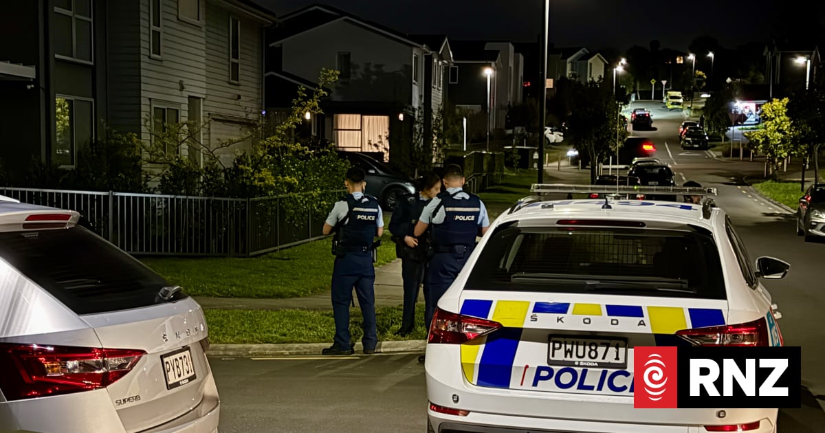 Specialist police speaking to man reported with firearm