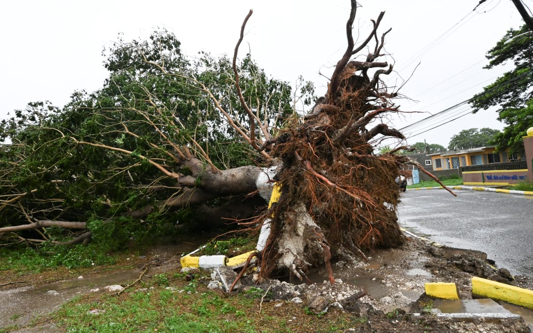 A fallen tree is seen in St. Catherine, Jamaica, shortly before Hurricane Melissa made landfall on October 28, 2025. Ferocious winds and torrential rain tore into Jamaica Tuesday as Hurricane Melissa made landfall, the worst storm ever to strike the island nation and one of the most powerful hurricanes on record. The extremely violent Category 5 system was still crawling across the Caribbean, promising catastrophic floods and life-threatening conditions as maximum sustained winds reached a staggering 185 miles per hour (295 kilometers per hour). (Photo by Ricardo Makyn / AFP)