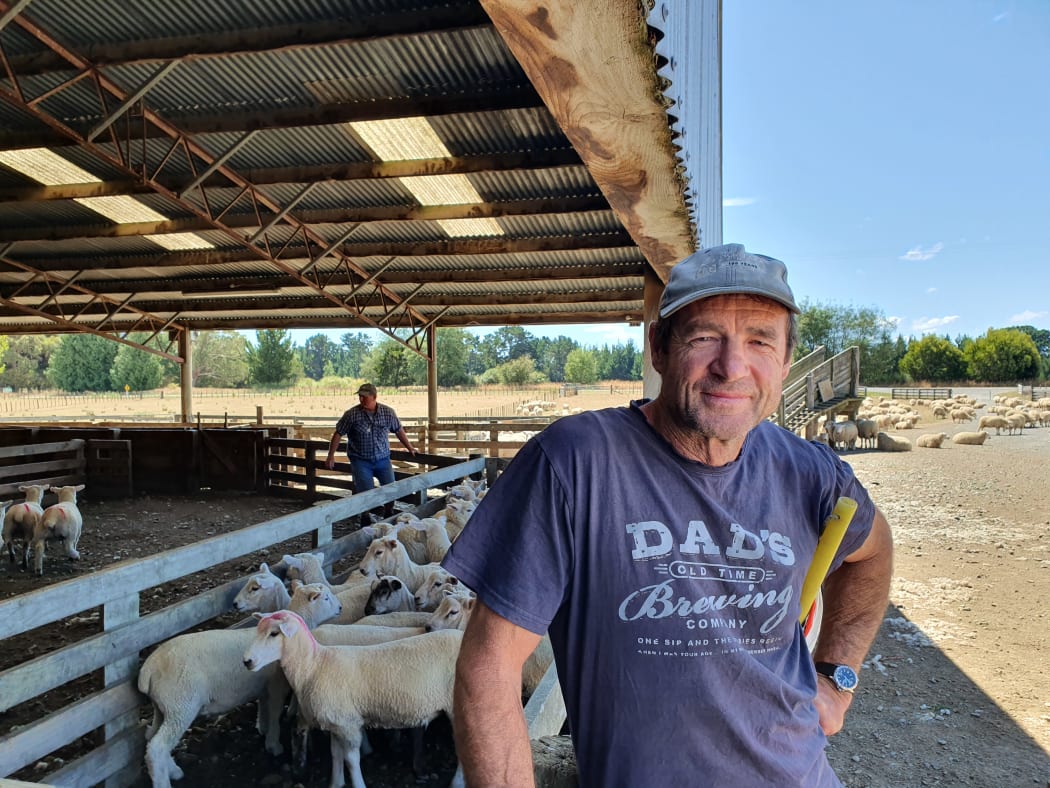 Ken McPherson has been selecting the sheep needed for the Golden Shears for 21  years
