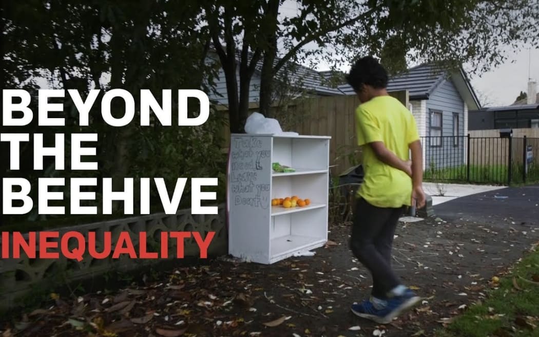 Beyond the Beehive: Inequality