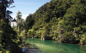 Kayakers - Abel Tasman National Park