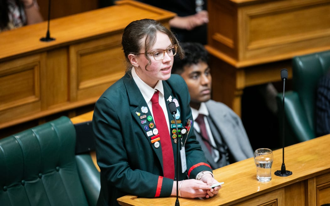 Participants during the 2025 Youth Parliament