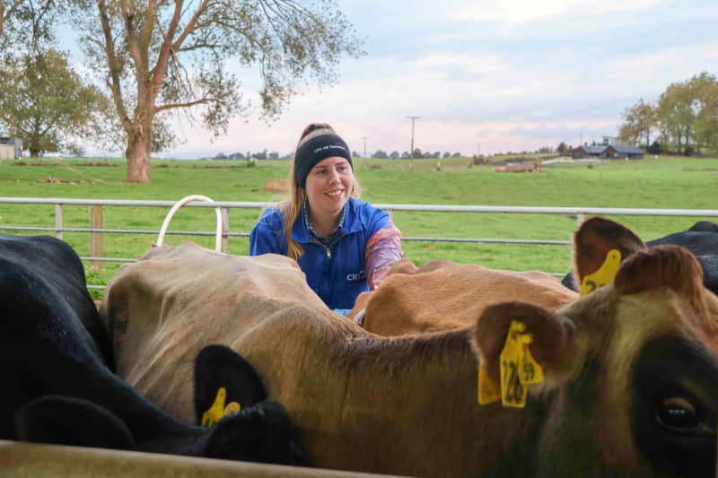 The company CRV has about 150 AB technicians. About 50 percent are women, a growth of 10 percent in four years.