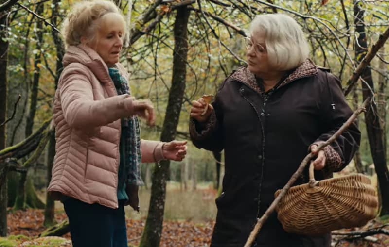 Hélène Vincent (l) in When Fall is Coming