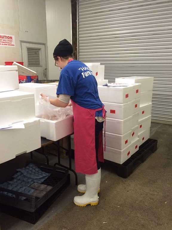 Packing orders for Christmas ham