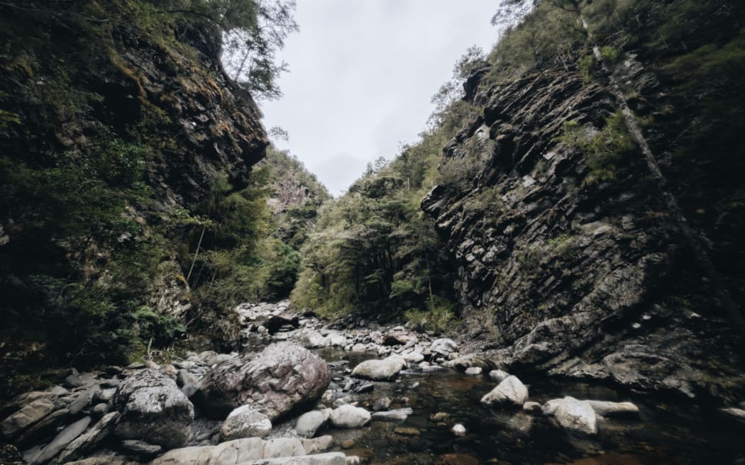 Sams Creek is a stream in Golden Bay / Mohua in the Tasman District. Since the 1980s, it has been subject to exploration for gold mining. It is bordered by the Kahurangi National Park.
