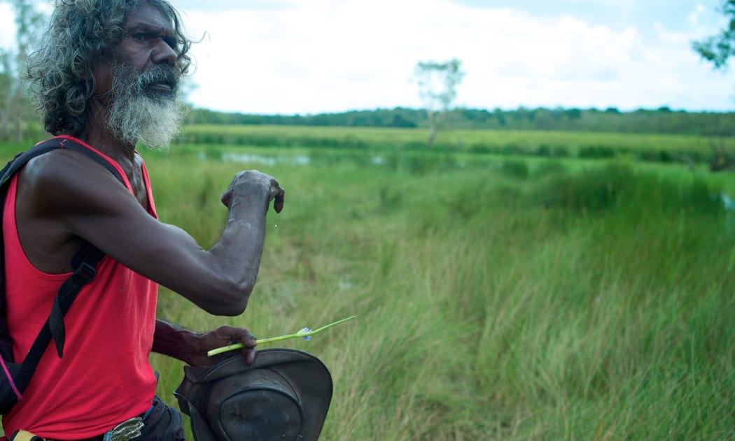 David Gulpilil