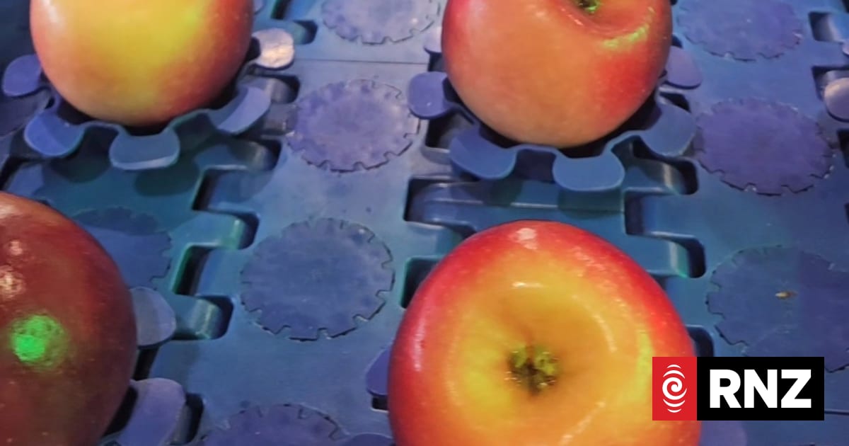 Concerns after second largest apple grower and exporter Kiwi Crunch enters voluntary administration