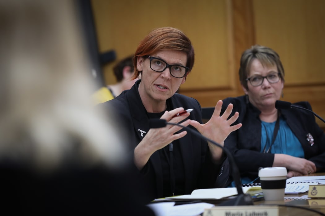 Green MP Jan Logie in committee