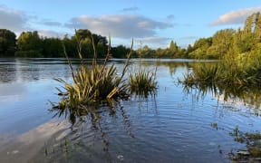 Waikato River
