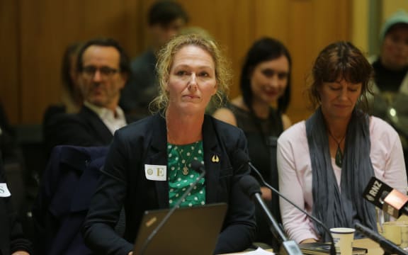 Rose Renton speaking to MPs about her petition to decriminalise cannabis for medicinal use.