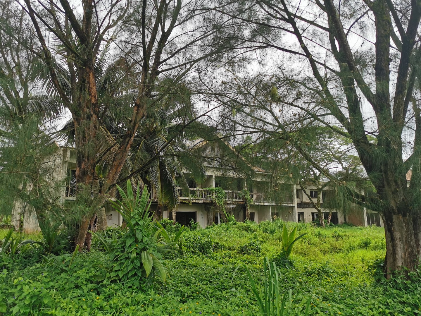 The Sheraton Hotel in its current overgrown and derelict state