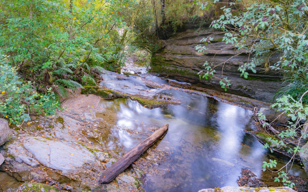 Stream flowing through natural New Zealand bush and rocky environment along West Bank of Matakitaki River