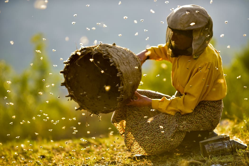 Hatidze Muratova, one of Europe's last wild beekeepers, in the film Honeyland.