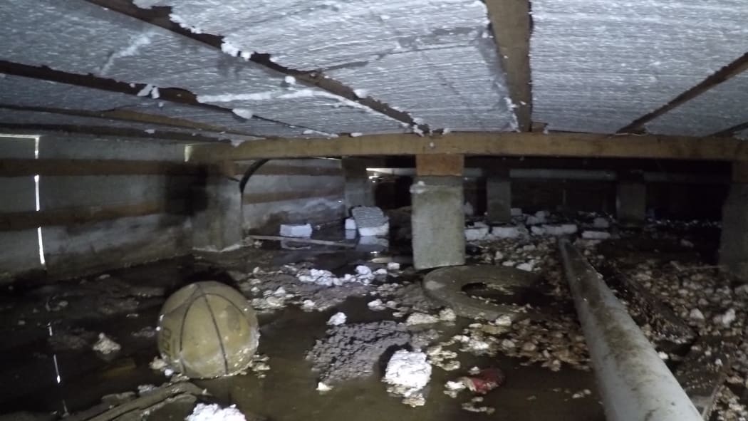 Underneath Dawn Robbie's Auckland 'swamp house'.