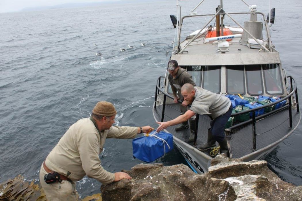 Loading boxes of birds on a fishing boat