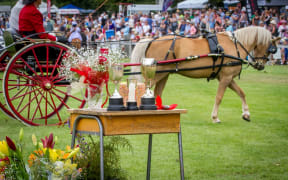 Lake Hayes A&P Show