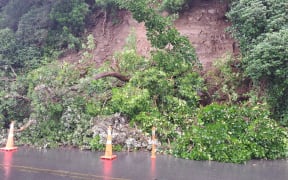 A slip on Ngapipi road, near Tamaki Drive in February 2023.