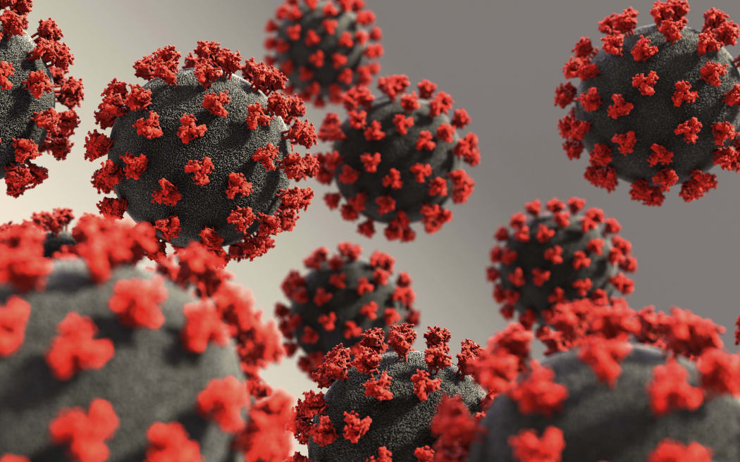 Coronavirus particles, illustration. Different strains of coronavirus are responsible for diseases such as the common cold, gastroenteritis and SARS (severe acute respiratory syndrome).