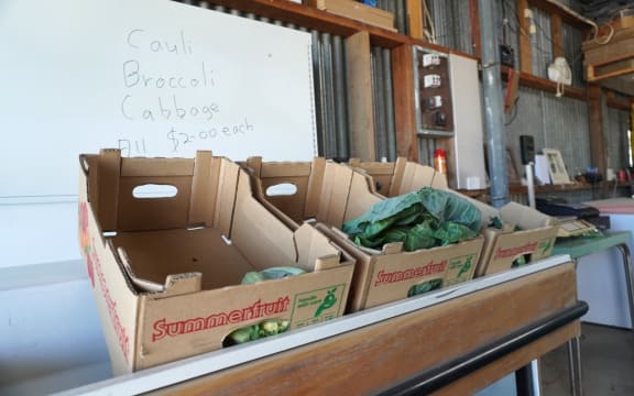 Springfield fruit and vege business