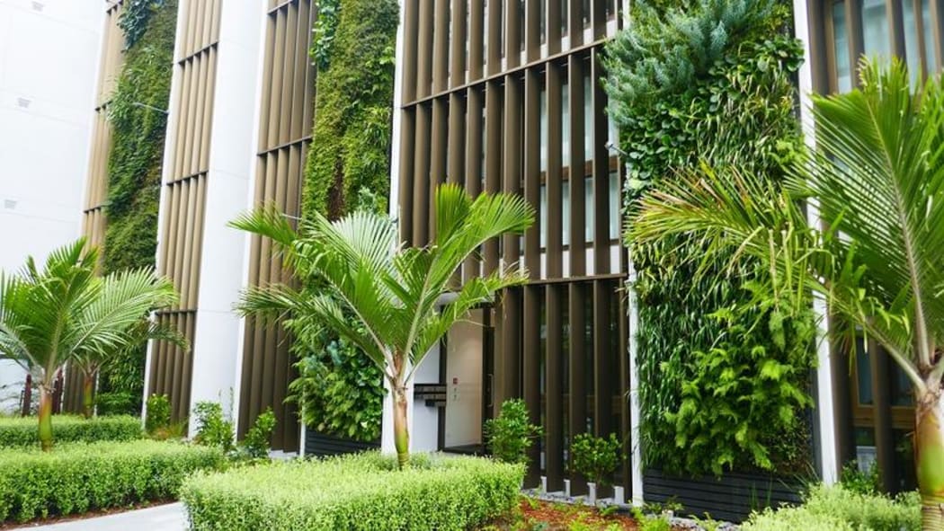 Mel Robinson's award-winning green wall in Auckland