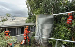 A tree fell onto the roof of a home near Cooktown's waterfront.