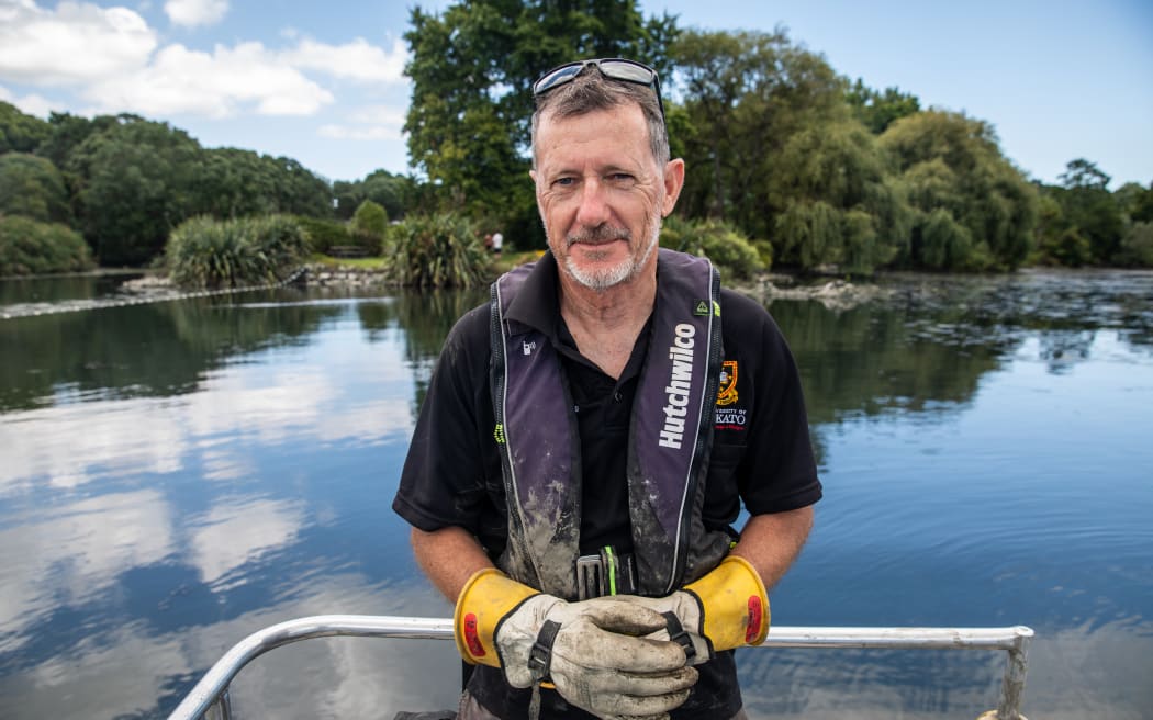 Invasive fish being caught and eliminated in Western Springs