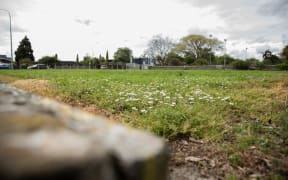 Palmerston North City Council wants to build houses on unused bowling greens, but does not have universal support