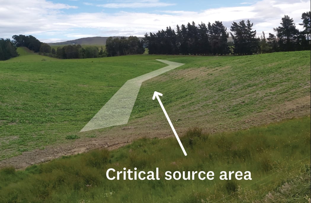 An example of critical source area,  such as a gully or swale, that need consent before intensive winter grazing can be carried out.