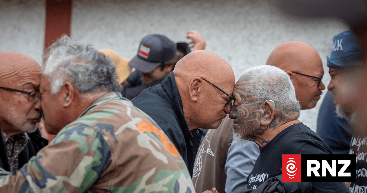 Indigenous filmmakers share the love of film across cultures at Māoriland