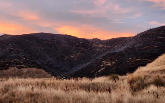 Scene of a large vegetation fire in Waikari Valley, Canterbury on 19 February 2024.